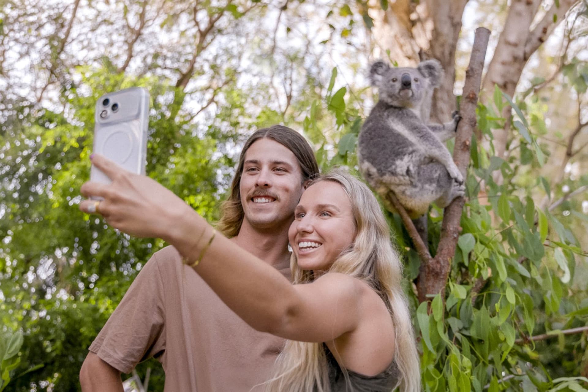 Currumbin Wildlife Sanctuary Gold Coast Ticket - main image